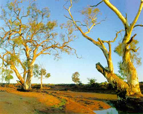 Remore outback scene